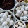 Vella Kozhukattai/Sweet Modhakas ( Steamed rice balls with jaggery coconut filling)
